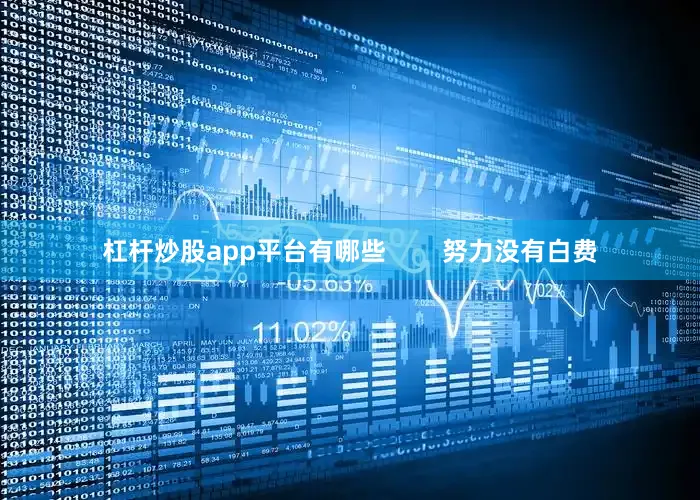 杠杆炒股app平台有哪些        努力没有白费