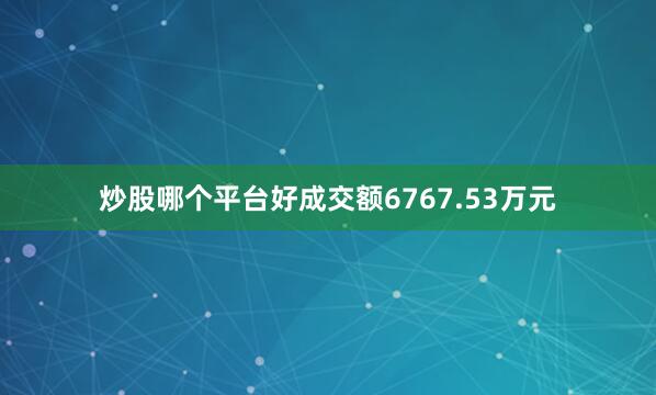 炒股哪个平台好成交额6767.53万元